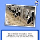 신일목장 이미지