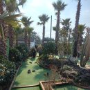 마로니에 미니골프 | 미니골프이야기