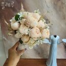 플레루