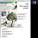 1-13: More animal groups 이미지