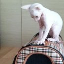 성열농장 이미지