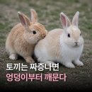 동백홈참치 | ૮꒰ ˶• ༝ •˶꒱ა˚₊·—̳͟͞͞♡