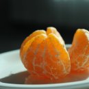 가정농장 | 제주 레드향 5kg 산지직송 가정용 택배 라니네농장 후기