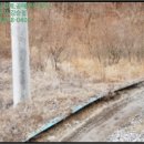 서후초등학교대흥분교장 이미지