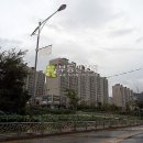 연수로1길 3(연수동) Daum카페