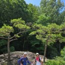 산내면 반선마을 | 지리산 뱀사골계곡&amp;와운 천년송(반선교~와운교~와운마을 천년송~와운교~뱀사골계곡 7k) 25.7.12.토요일