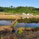 음지마을 농로 이미지