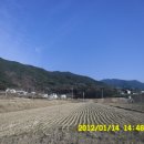 밤재마을 앞 이미지