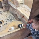 더정글 | 구미 18개월 아이랑 갈만한 실내 :: 금오랜드 동물, 자연생태체험관, 인투더정글 솔직후기(장/단점)