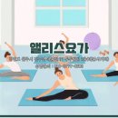 앨리스체육과학연구소