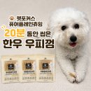 츄잉츄잉 | 펫포커스 퓨어플레인츄잉 | 오래 먹는 강아지껌 후기 | 개껌 간식 추천