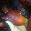 천마여행 이미지