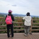 신풍교차로 1 이미지