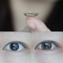 홀리브 | 렌즈미 원데이렌즈 메이크오버 홀리브 브라운 내돈내산 솔직후기