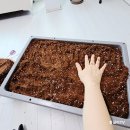 도봉농장 | 2025년 서울시 도봉구 도심속 나만의농장 상자텃밭 신청후기