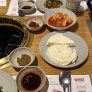 멀버리힐스, 대도식당 | 서울 신사역 대도식당강남대로점 솔직후기