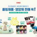 반려와 이미지