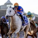 리오목장 이미지