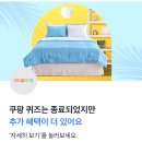 토스 행퀴 리빙페어 이미지