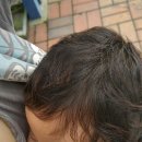 대덕국민체육센터수영장 이미지