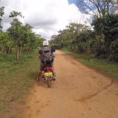 도열농장 이미지