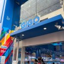 인형뽑기 | [오사카] 도톤보리 인형뽑기 가챠샵 프리쿠라 &#39;GiGO&#39; 방문후기 꿀팁