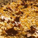 수채화 일러스트 이미지