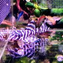 (주)뉴메가 이미지