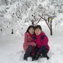 월광공원 Daum카페