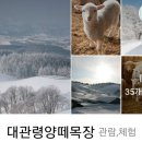 정영진목장 네이버블로그