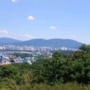 김숙자