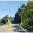 백송식당 이미지