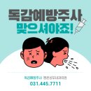 평촌성모내과 네이버블로그