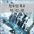 큰나무푸드 | 홋카이도 비에이 후라노 버스투어 후기 흰수염폭포, 탁신관 자작나무숲