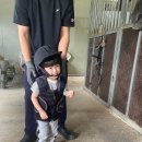 교하운정스카이승마장 이미지