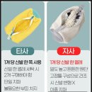 운동화빠는집 | 운동화 세탁망 후기, 운동화 이젠 세탁기 돌리세요!