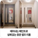 노루 | 실패 없는 현관 중문 셀프페인트! 떼지는 페인트 노루와 매직오프 중문 리폼 후기