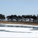 소나무풍경 - 김포시 양곡로373번길 61-26 | 소나무풍경