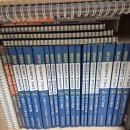 모아드림공인중개사 | 공인중개사 합격 후기_인강드림 24년 1차, 25년 2차 최종합격