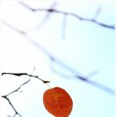 밝은행정사 이미지