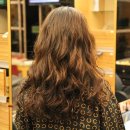 하이크라스 이미지