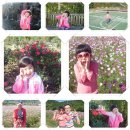 평림댐 화장실 이미지