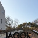 저녁)유화 초급 이미지