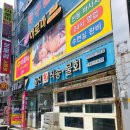 울진회직송 이미지