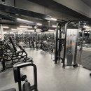 와일드 짐 이미지