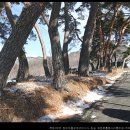 장안 마을회관 이미지