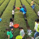 상호농장 이미지