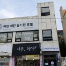 에덴 애견 유치원 호텔 티스토리