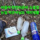 석청 이미지