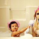 on동물병원 이미지